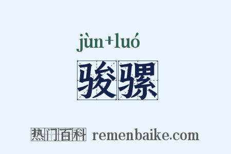 骏骡是什么意思的图片